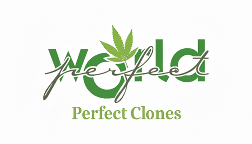 Perfect World Clones